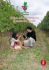 Guida all`Accoglienza Hospitality guide Guida all`Accoglienza