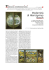 Modernità di Hieronymus Bosch - Fondazione Internazionale Menarini