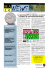 n. 13 - Management Innovation
