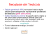 Neoplasie del Testicolo