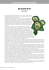 Quel mazzolin di fiori