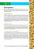 Fact Sheet Riso Basmati