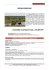 Speciale Kruger Park