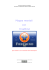 Guida alle mappe mentali e freemind - e