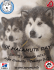 malamute day 2013