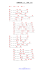 SYMBOLUM `77 (pag. 63)