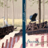 Fricandò - Comune di Viadana