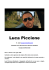 Scarica il Curriculum