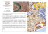 Mostra una mappa dettagliata