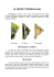 le specie pterophyllum