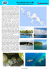 solomon islands - Pan Pacific Tours