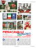 fieracavalli - tutto arabi