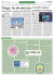 I locali notturni puntano sul design