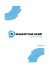 Company profile