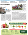 [c-im - 9] carlino/giornale/imo/08 14/11/10