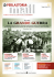 1914-2014 La Grande Guerra