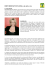 Erin Brockovich (Scheda)