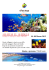 sharm el sheikh