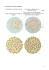 12 Test sui Colori. Le Tavole di Ishihara: Test Dedicato a Chi