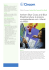 Anthem Blue Cross and Blue Shield produce la propria
