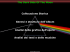 The Dark Side Of The Moon