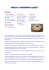 Torta ai marrons glacés - NCP