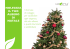 noleggia il tuo albero di natale