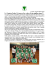 19/4 under 14 - vomien volley legnano