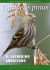 Carduelis pinus IL LUCHERINO AMERICANO