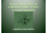 Quale voce dopo una laringectomia totale?