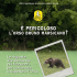 Scarica Opuscolo - Parco Nazionale d`Abruzzo Lazio e Molise