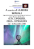 Tour Aurore Boreali