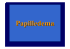 Presentazione di PowerPoint