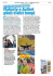 Novella Duemila - N.37 - 12 Settembre 2013