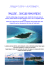 MALDIVE - SEACLUB MAAYAFUSHI
