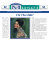 Chi l`ha visto? - Associazione Piacenza Musei
