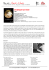 D`Amor si Vive - WordPress.com