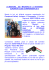 LA MISSIONE… DEI “MAGNIFICI 9” ai VETERANS
