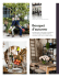 Bouquet d`autunno