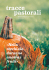 Tracce_Pastorali - Le Missioni.NET