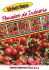 UNITED GENETICS ITALIA S.p.A.