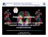 Imaging genetics