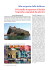 Alla scoperta delle bellezze Il Castello Aragonese d`Ischia i giard