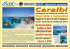 Quadrotto Spot CARAIBI