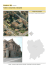 Teatro e monumento a Donizetti - Geo