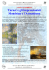 Turner e gli Impressionisti Mondrian e l`Astrattismo