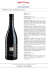 PAIAGALLO Vigna La Villa Barolo DOCG