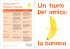 Coltiviamo la banana.