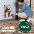 Little Big Moments
