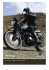 Catalogo - Triumph Motorcycles